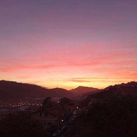 Il Glicine Cozy Appartamnent, Near Sestri Levante Between Cinque Terre E Portofino Casarza Ligure Bagian luar foto