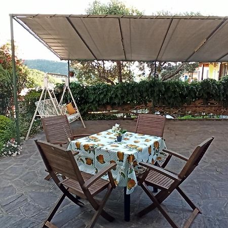 Il Glicine Cozy Appartamnent, Near Sestri Levante Between Cinque Terre E Portofino Casarza Ligure Bagian luar foto