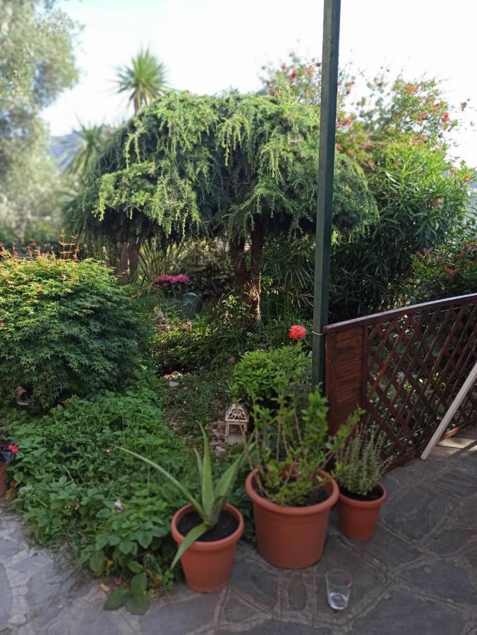 Il Glicine Cozy Appartamnent, Near Sestri Levante Between Cinque Terre E Portofino Casarza Ligure Bagian luar foto