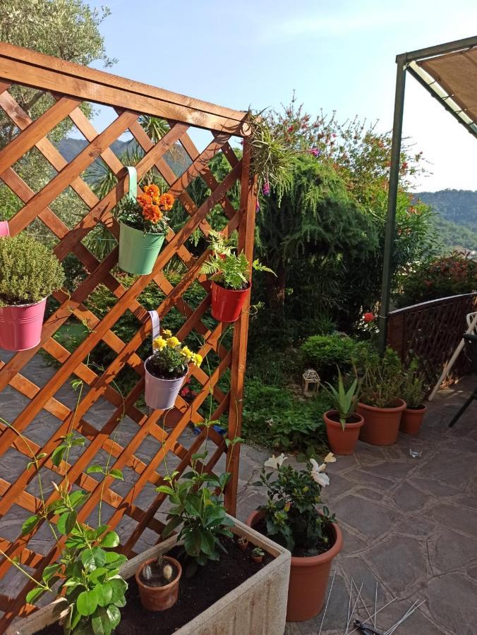 Il Glicine Cozy Appartamnent, Near Sestri Levante Between Cinque Terre E Portofino Casarza Ligure Bagian luar foto