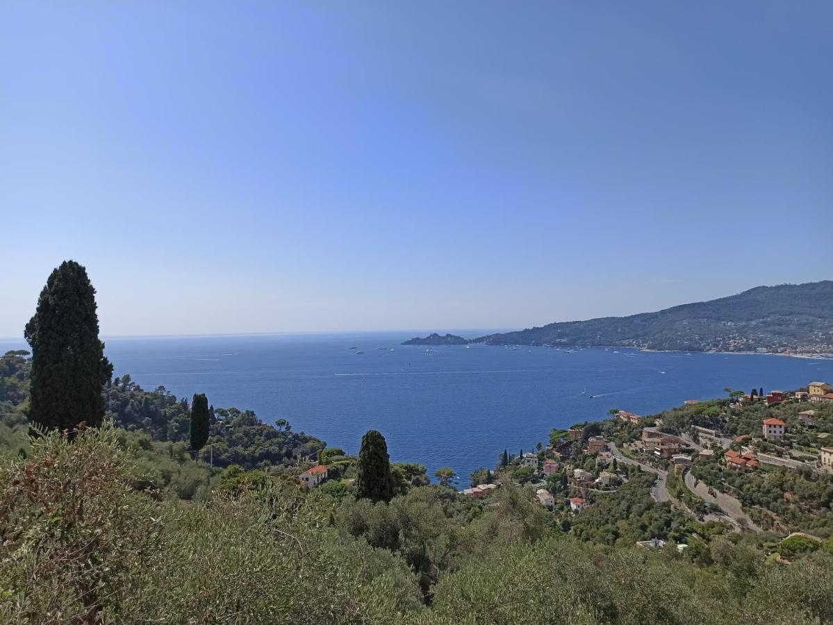 Il Glicine Cozy Appartamnent, Near Sestri Levante Between Cinque Terre E Portofino Casarza Ligure Bagian luar foto