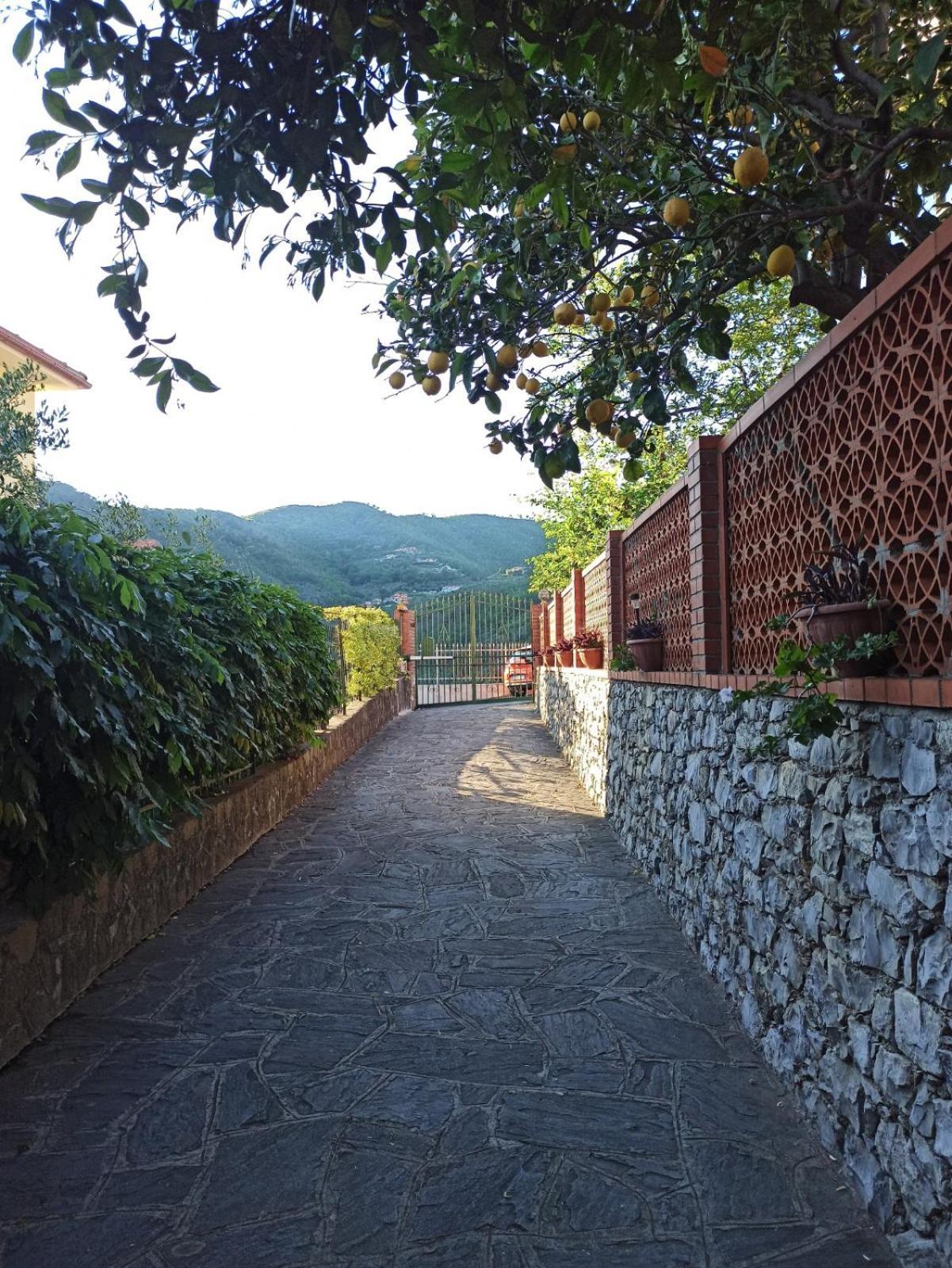 Il Glicine Cozy Appartamnent, Near Sestri Levante Between Cinque Terre E Portofino Casarza Ligure Bagian luar foto